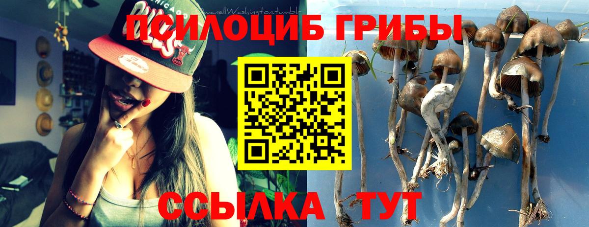 Псилоцибиновые грибы GOLDEN TEACHER  Вход с VPN  Долгопрудный 